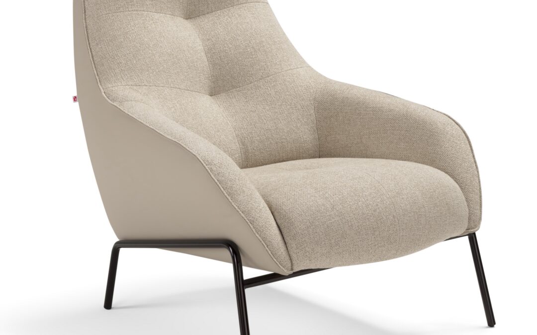 Ari Chair & Ottoman